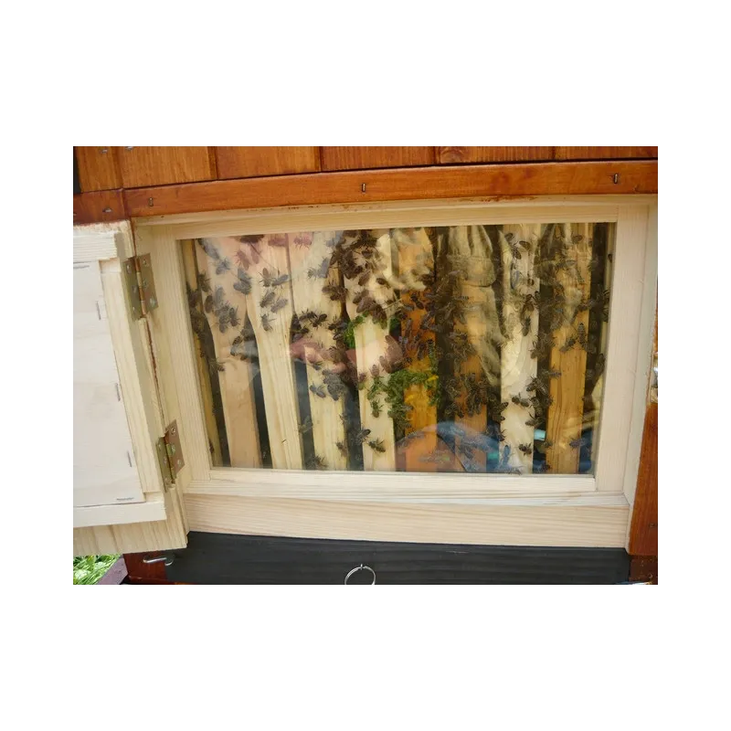 Ul wielkopolski z szybką